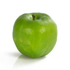 Plant species Jablko