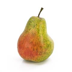 Plant species Hru&scaron;ka