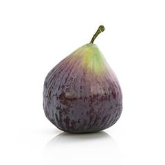 Plant species F&iacute;k