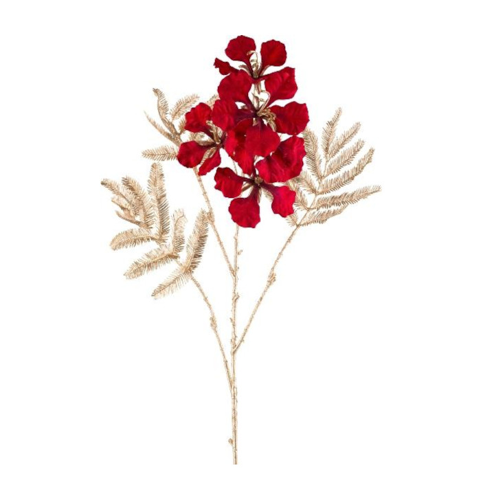 Plant species Flammenbaum