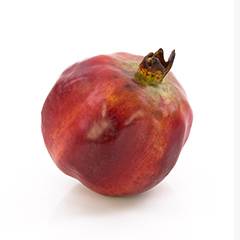 Plant species Gran&aacute;tov&eacute; jablko