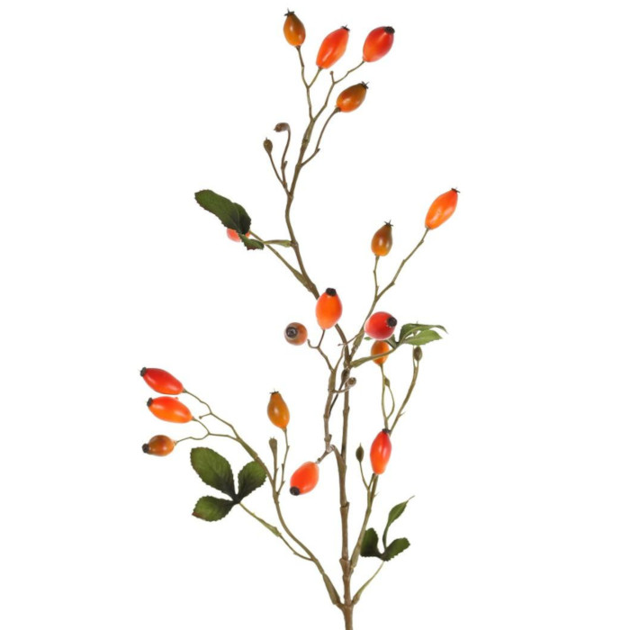 Plant species &Scaron;&iacute;pek