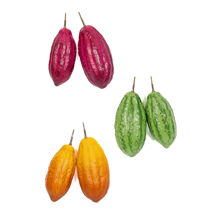 Plant species Kakaov&eacute; ovoce