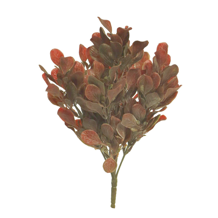 Kuchenbaum