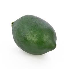 Plant species Limeta