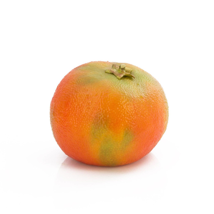 Plant species Mandarinka