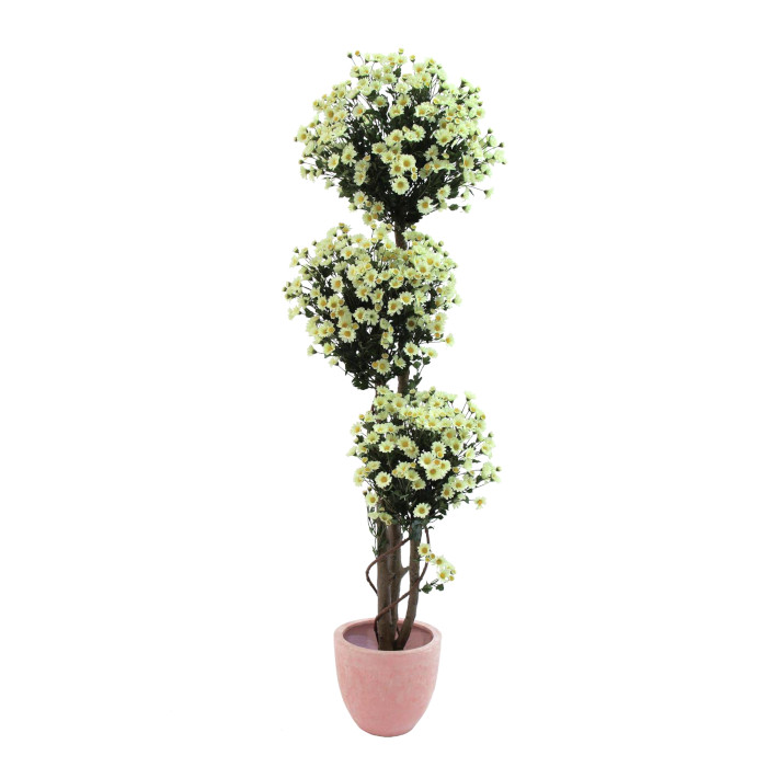 Strom sedmikrásky