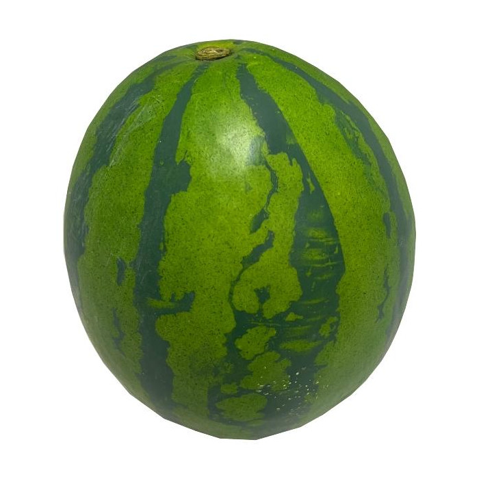 Plant species Meloun