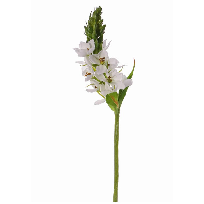 Snědek