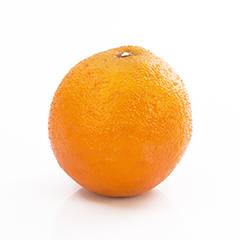 Plant species Pomeranč