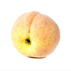 Plant species Broskev