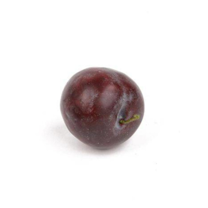 Plant species Slivoň &scaron;vestka