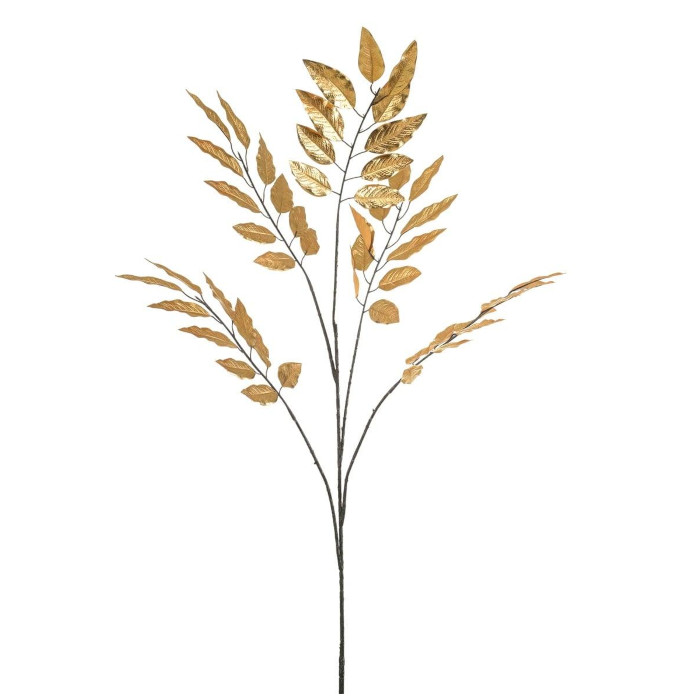 Plant species Pistazienbaum