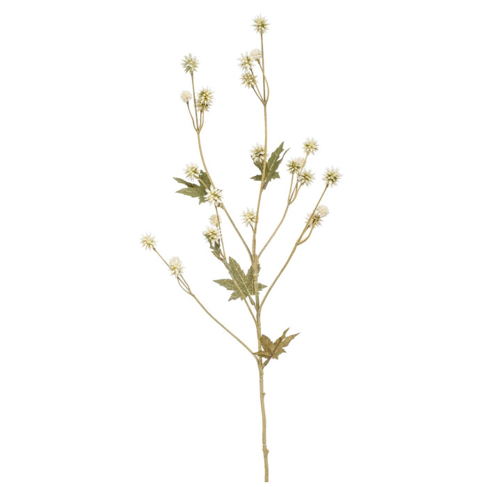 Sanikel