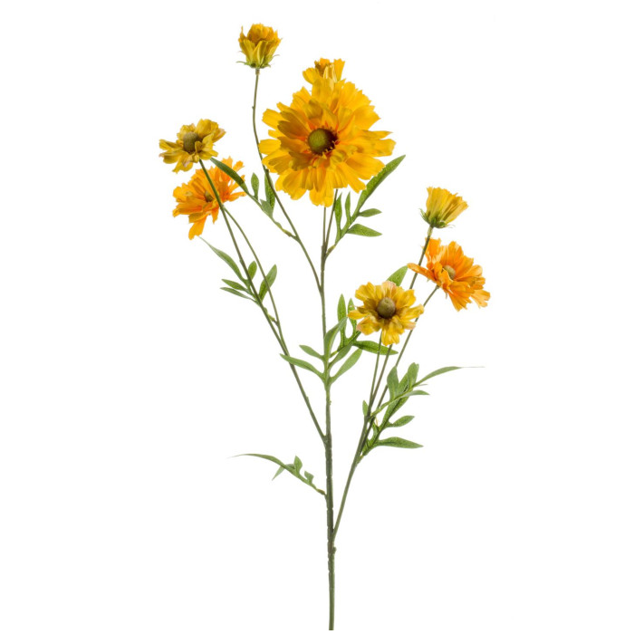 Sonnenbraut