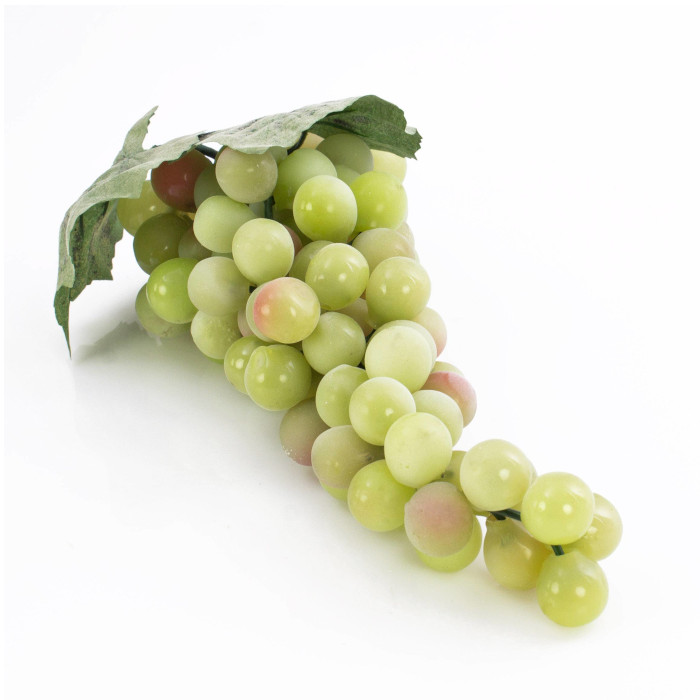 Plant species Hrozen