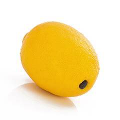 Plant species Citron