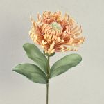 Umělý květinový polštářek Protea plastová pěna ISLARTINA, krémově-meruňková, 75cm