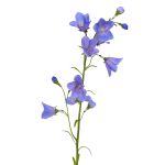 Umělá rostlina zvonek GISELA, modrá, 65cm, Ø1-4cm