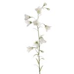 Umělá rostlina zvonek GISELA, bílá, 65cm, Ø1-4cm