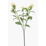 Umělá větev kulovitého amarantu DREWON, krémová, 65cm