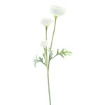 Dekorativní větvička ranunculus TRITO, krémová, 35cm