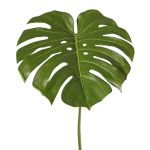 Philodendron Monstera Deliciosa THALWIL umělá zeleň, 60cm