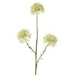 Dekorativní větvička Allium ALIKIO, bílá, 65cm, Ø6,5cm