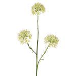 Dekorativní větvička Allium ALIKIO, bílá, 65cm, Ø7cm