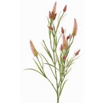 Dekorativní větvička jetele EUTIN s květy, tmavě růžovo-zelená, starorůžovo-zelený, 80cm, Ø1,5-2cm
