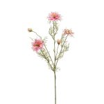 Dekorativní větvička černého kmínu JENNIE, růžová, 70cm