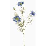 Ozdobná větvička černého kmínu JENNIE, modrá, 70cm