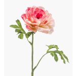 Umělý ranunculus KRISTY, růžovo-růžový, 60cm, Ø10cm