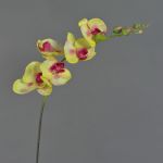 Umělá větvička orchideje phalaenopsis DAJANA, žluto-růžová, žluto-fuchsiová, 80cm, Ø6-11cm