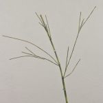 Umělá bambusová větev HARUTO, 105cm