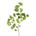 Umělá větev Ginkgo BAVLEN, zelená, 85cm