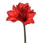 Umělá květina amaryllis BENITA, červená, 55cm, Ø10cm