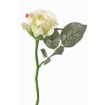 Umělá růže ELLI, krémovo-bílá, 30cm, Ø6,5cm