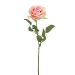Umělá růže BRUNETTE, růžovo-krémová, 70cm, Ø11cm