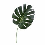 Umělý list filodendron monstera deliciosa UMBERTO, 55cm