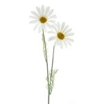 Dekorativní kopretina SOPY, bílá, 55cm
