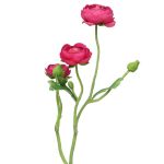 Umělé větve ranunculus JIXIANG, růžová, 50cm