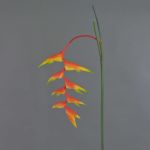 Umělá květina Heliconia MEIHUA, oranžová, 95cm