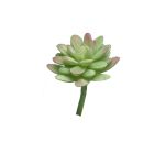 Dekorační sedum rubrotinctum AOLUO na zápichu, zeleno-červená, 16cm