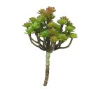 Dekorativní echeveria macdougallii ULUO na zápichu, zeleno-červená, 19cm