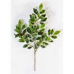 Umělý strom ficus benjamini větvička AJITH, zeleno-bíla, 45cm