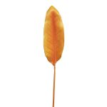 Deco list Strelitzia YISHAO, oranžovo-růžová, 90cm