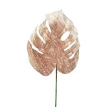 Sametový list filodendron Monstera Deliciosa AOSHUN, růžový, 70cm