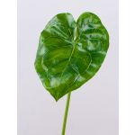 Umělecká plachta Anthurium GÜLSAH, zelená, 65cm