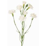 Umělá větev karafiátu PIARA, bílá, 60cm, Ø3-5cm